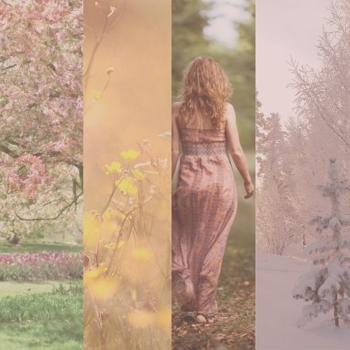 Sacred Seasons: Tarot Reading for a 12 Month Vision & Foundation