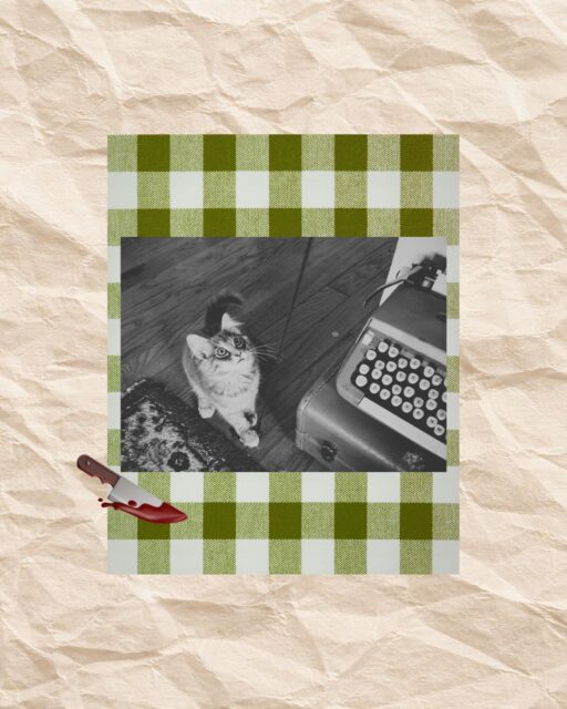 Things found near the writer’s desk:

⌨️ one typewriter
🐈 one possible witness
🔪 one highly concerning object
📝 seventeen unfinished plot notes
☕ no tea, somehow

The investigation continues. 🔎