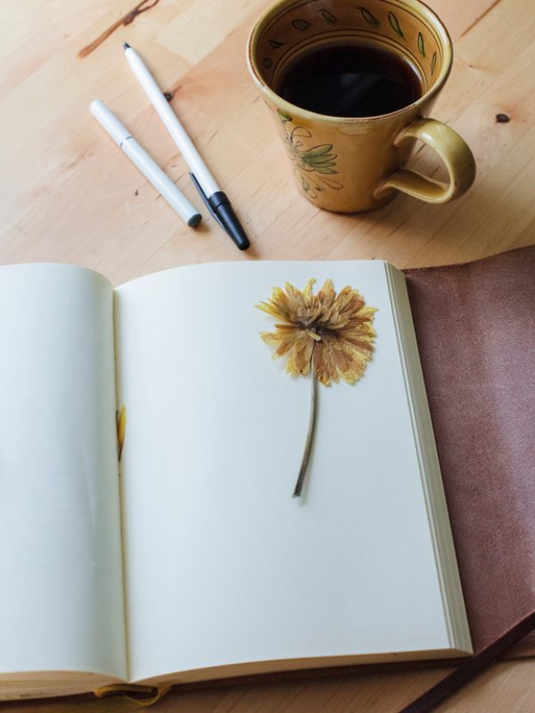 A pressed yellow flower lies on a blank page in an open journal on a wooden table in Philadelphia, Pennsylvania