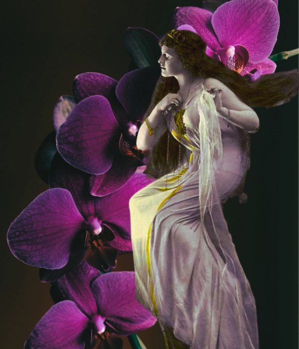 Rose Witch Image
