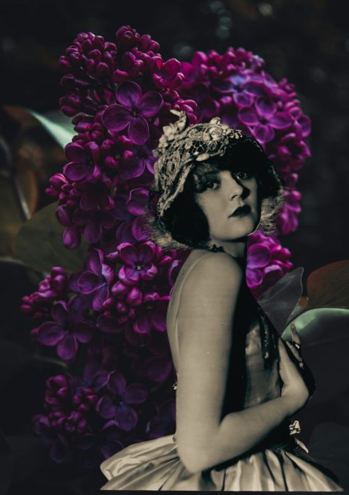 Rose Witch Image