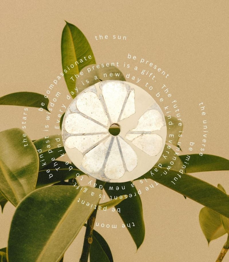 Xtine Website 800 x 915 copy 5